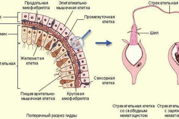 Kraken ссылка tor официальный сайт