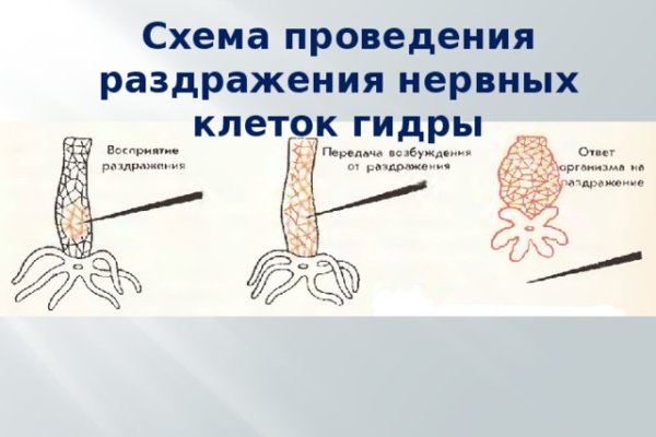 Кракен маркетплейс krk market com