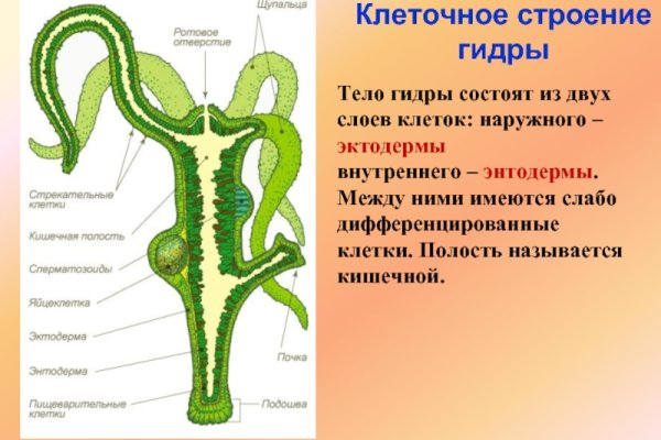 Как зайти на кракен дарк