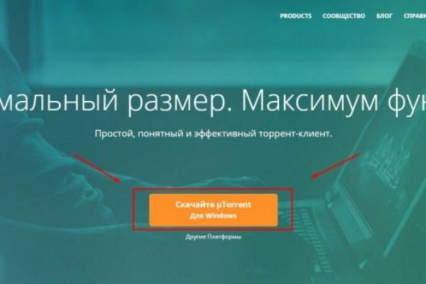Ссылка на кракен не работает