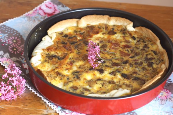 Даркнет ссылка