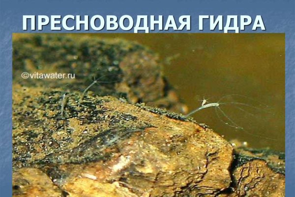 Кракен сайт даркнет