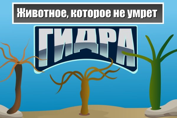 Кракен даркнет маркет ссылка на сайт тор